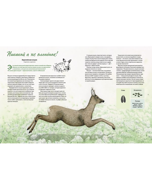 Наши соседи по планете. Рассказы о диких животных