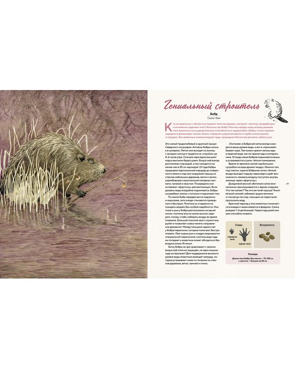 Наши соседи по планете. Рассказы о диких животных