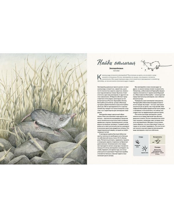 Наши соседи по планете. Рассказы о диких животных