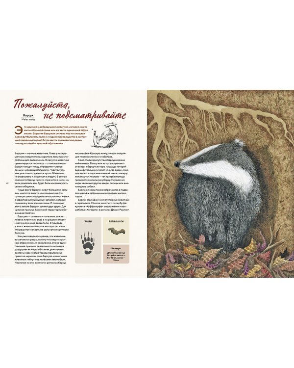 Наши соседи по планете. Рассказы о диких животных