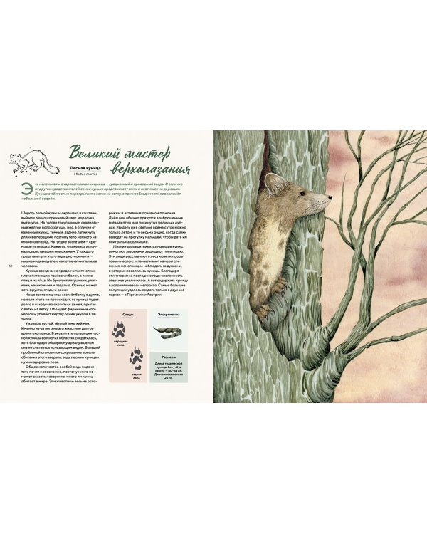 Наши соседи по планете. Рассказы о диких животных