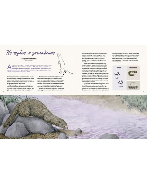 Наши соседи по планете. Рассказы о диких животных