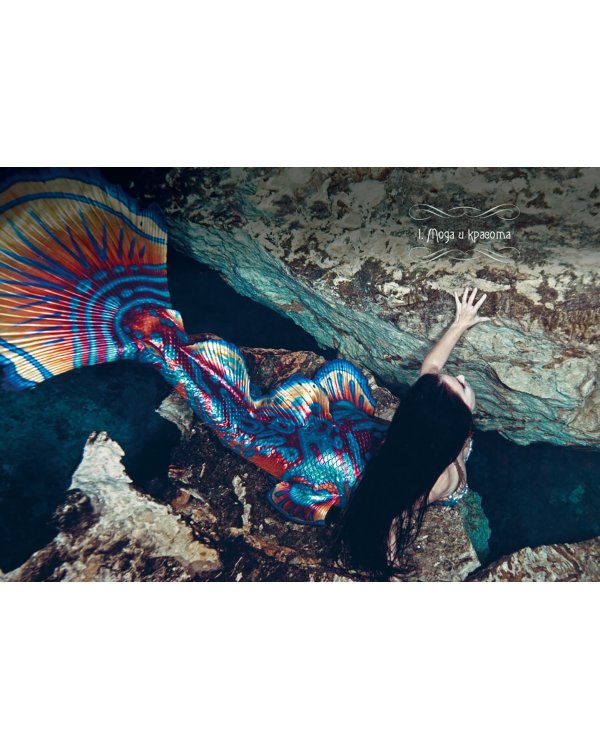 Книга Русалок. Волшебный путеводитель по страницам фолиантов, подводным глубинам