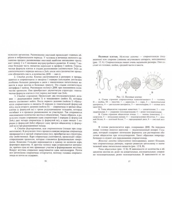 Общая биология. Теория и практика. Учебное пособие