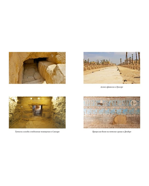 Признания египтолога. Утраченные библиотеки, исчезнувшие лабиринты и неожиданная правда