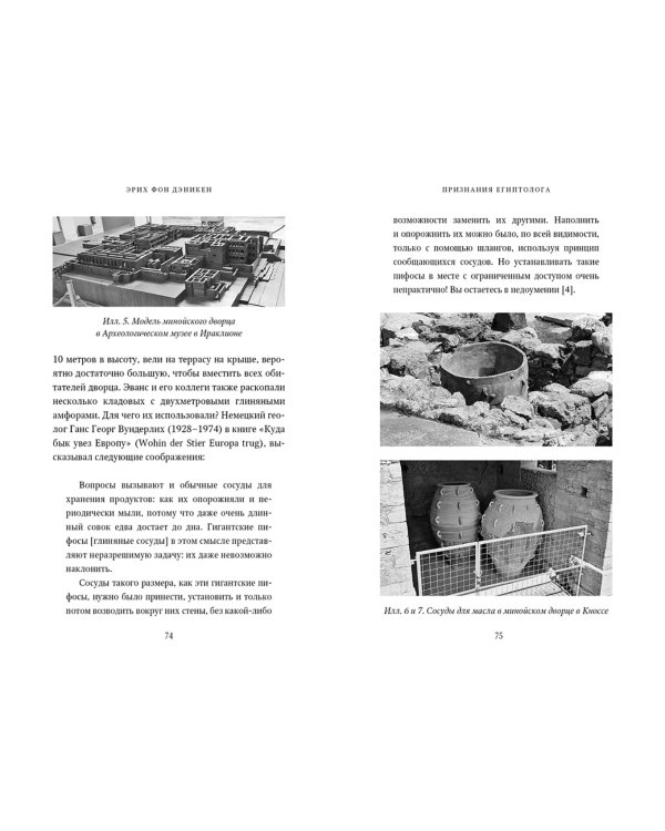 Признания египтолога. Утраченные библиотеки, исчезнувшие лабиринты и неожиданная правда