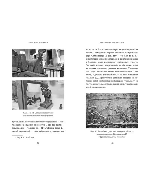Признания египтолога. Утраченные библиотеки, исчезнувшие лабиринты и неожиданная правда