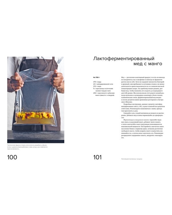 Гид по ферментации от Noma