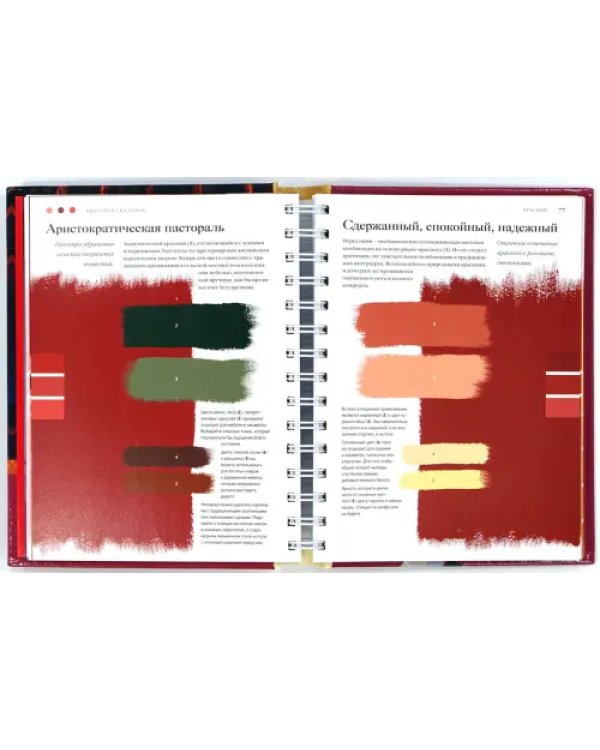 Цвет. Энциклопедия. Вдохновляющие цветовые решения для интерьера вашего дома