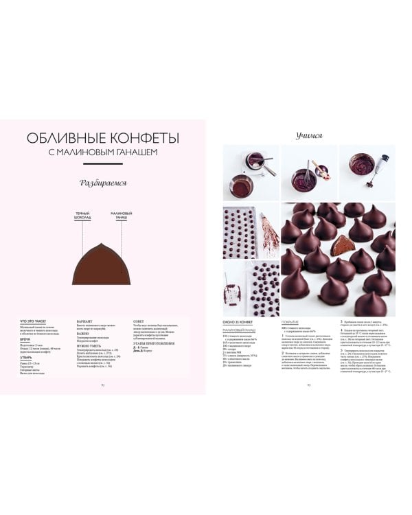 Большая книга шоколатье. Конфеты, выпечка, десерты, антреме. Учимся готовить шедевры