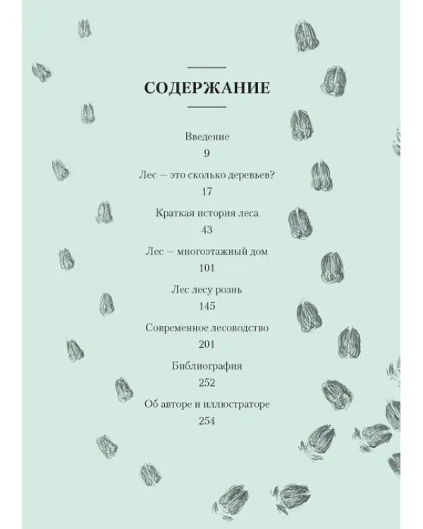 Лес. Как устроена лесная экосистема