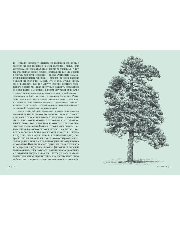 Лес. Как устроена лесная экосистема