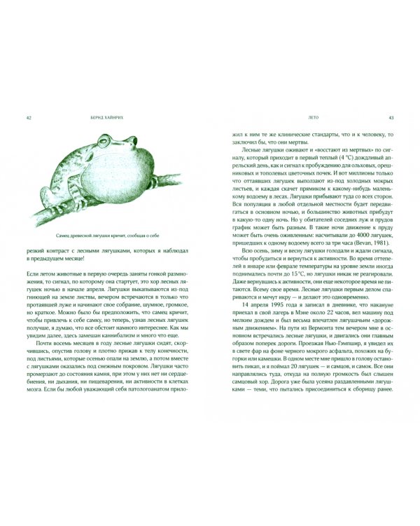 Лето. Секреты выживания растений и животных в сезон изобилия