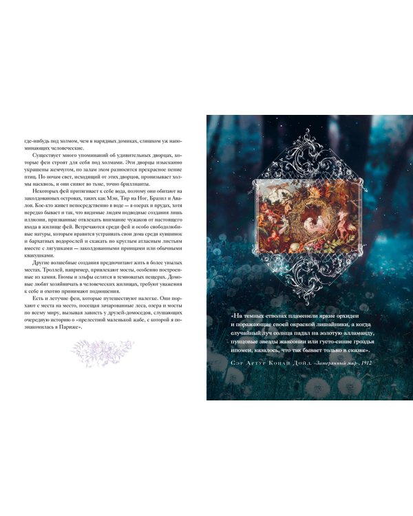 Книга Фей. Волшебный путеводитель по страницам фолиантов, глубинам тайных знаний