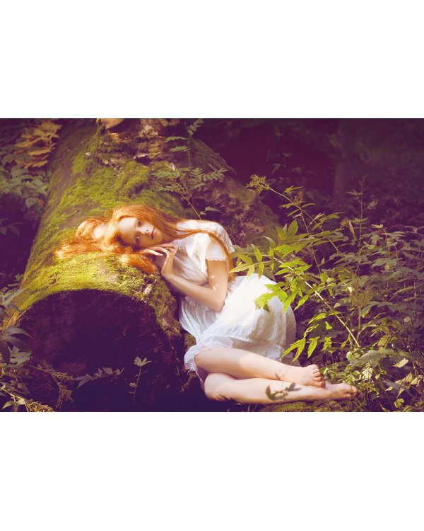 Книга Фей. Волшебный путеводитель по страницам фолиантов, глубинам тайных знаний