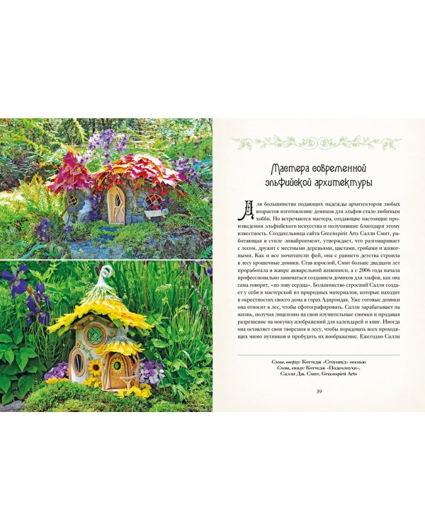 Книга Фей. Волшебный путеводитель по страницам фолиантов, глубинам тайных знаний