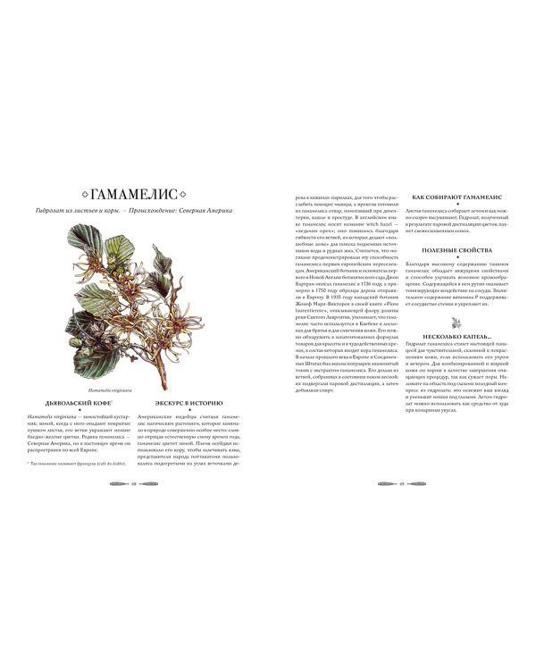 Атлас естественной красоты. Натуральные ингредиенты для ухода за кожей и приумножения вашей красоты