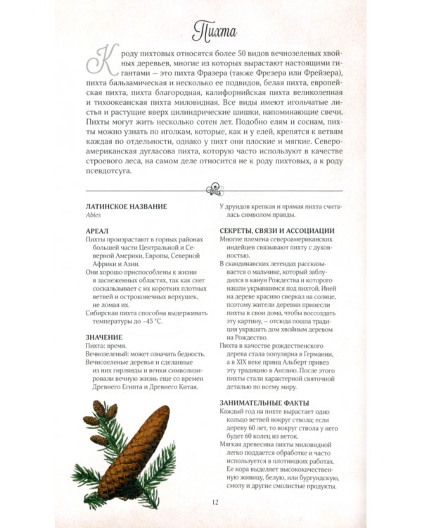 Тайный язык деревьев