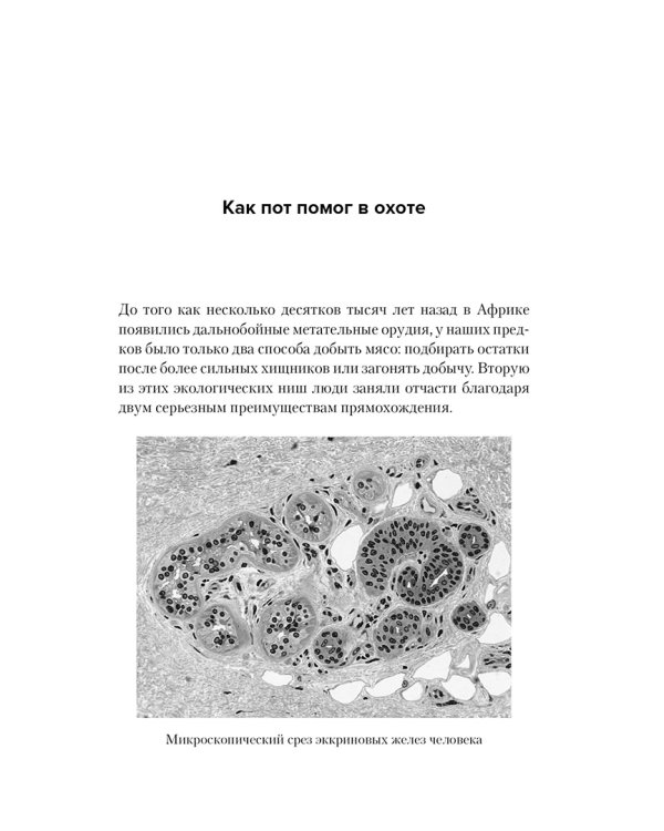 Цифры не лгут. 71 факт, важный для понимания всего на свете