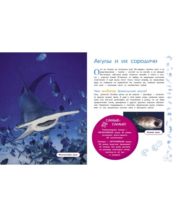 Морские животные