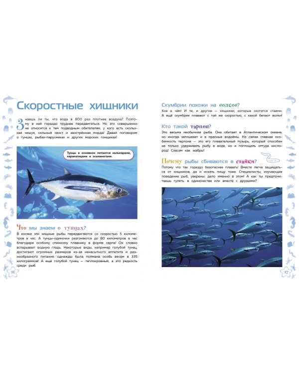 Морские животные