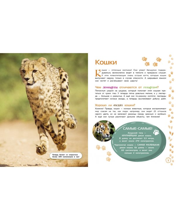 Млекопитающие