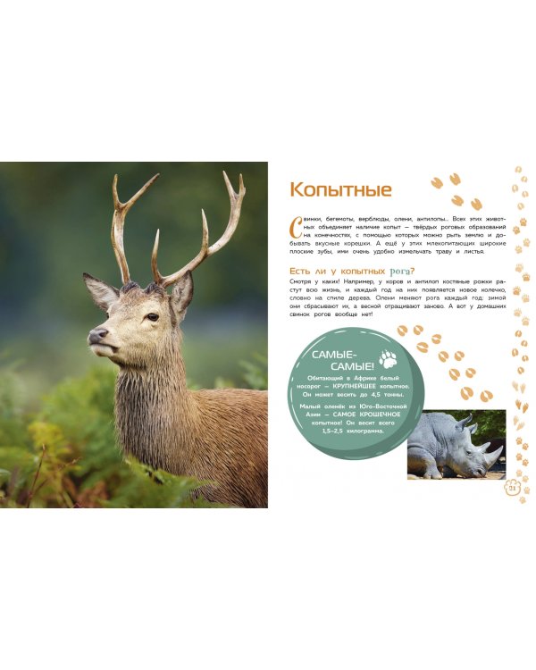 Млекопитающие