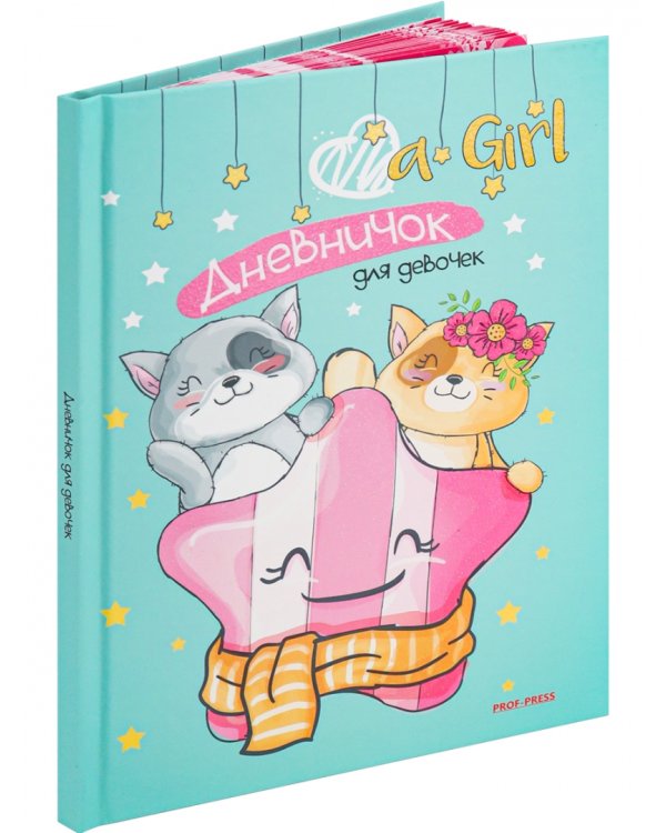 Дневничок для девочки Кошачья дружба, 64 листа, А5