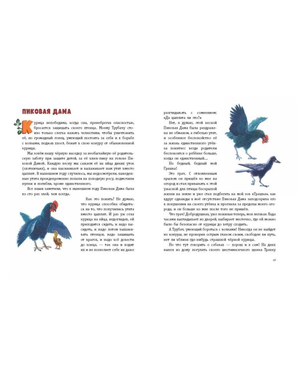 Рассказы о животных