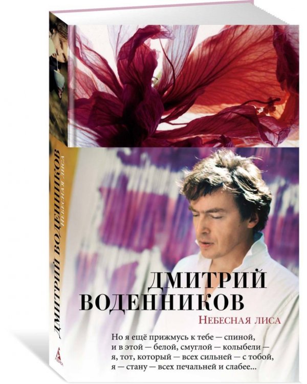 Небесная лиса