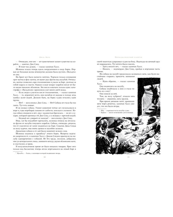 Пятнадцатилетний капитан. Пять недель на воздушном шаре