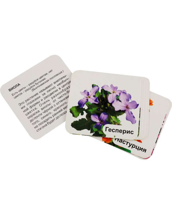 Двулетние садовые цветы. 12 развивающих карточек с красочными картинками, стихами и загадками