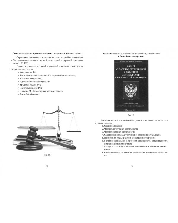 Основы охранной деятельности в сфере предпринимательства