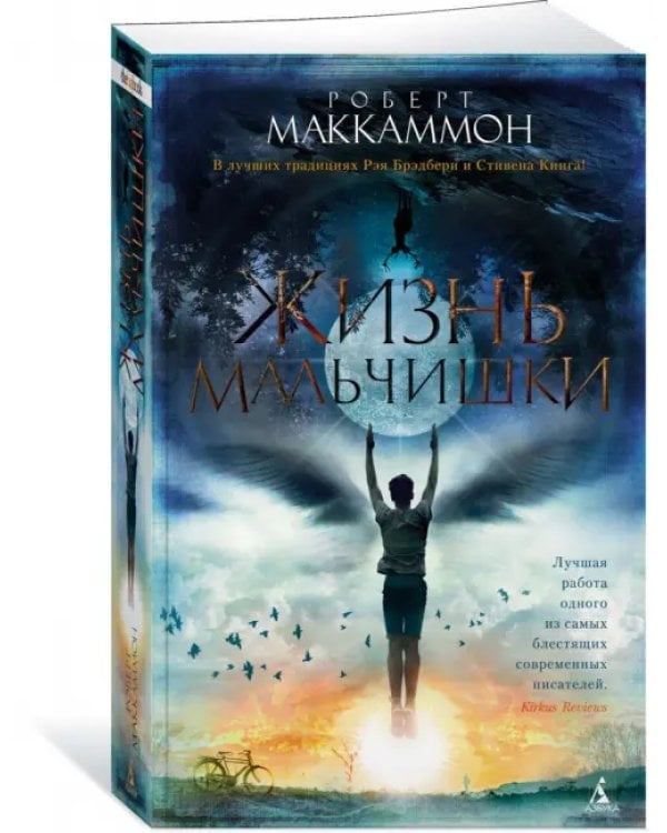 Жизнь мальчишки