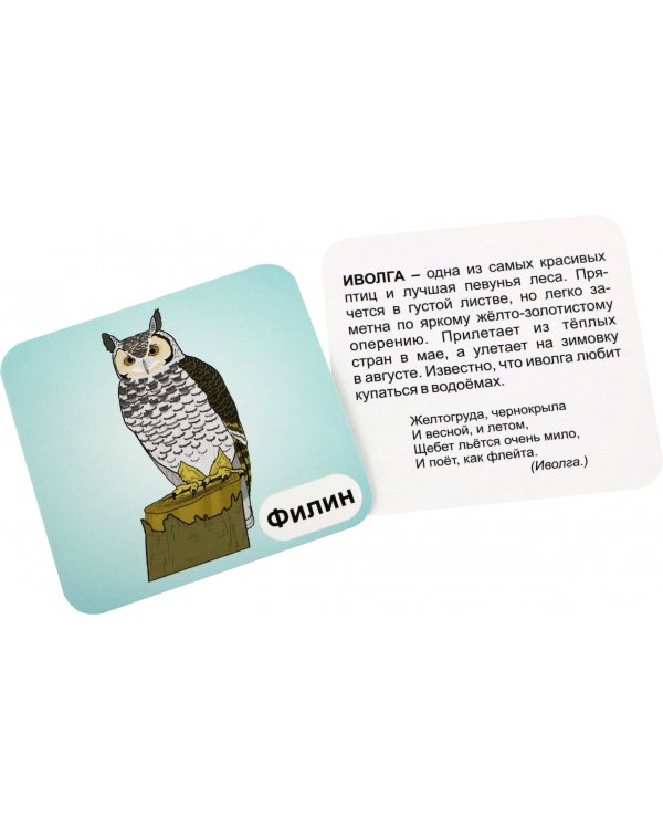 Птицы леса. 12 развивающих карточек с красочными картинками, стихами и загадками для занятий