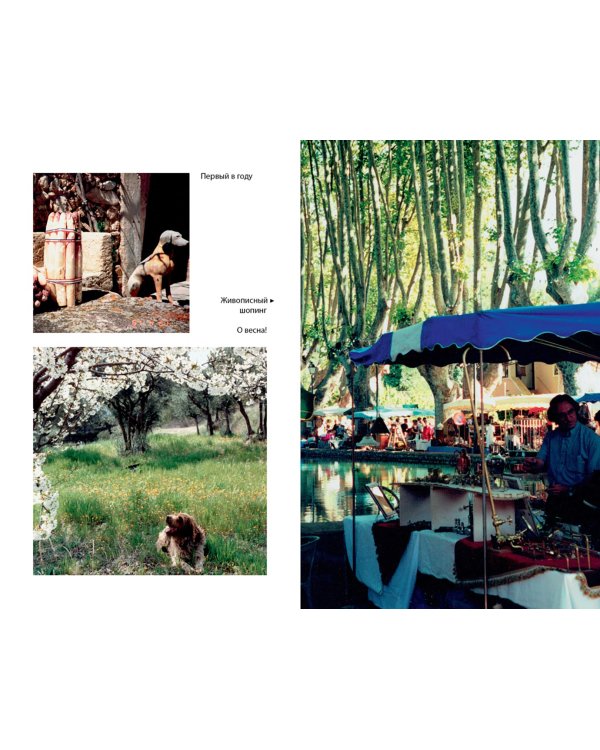 Мои двадцать пять лет в Провансе