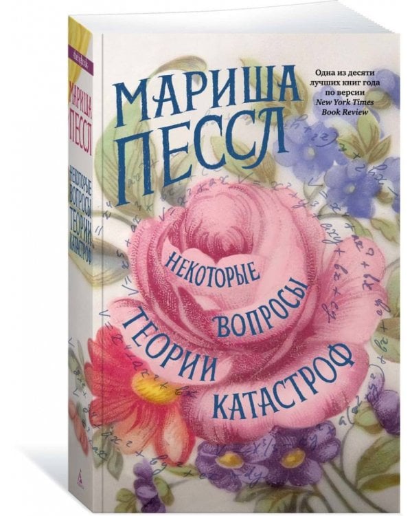 Некоторые вопросы теории катастроф