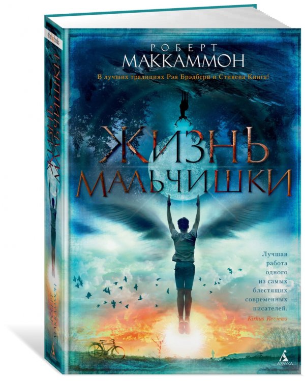 Жизнь мальчишки