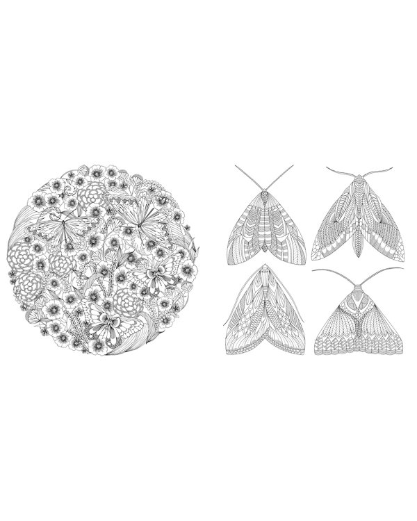 В царстве животных. Книга для творчества и вдохновения