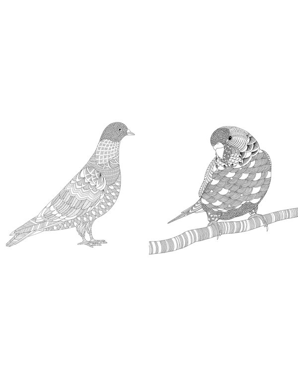 В царстве животных. Книга для творчества и вдохновения