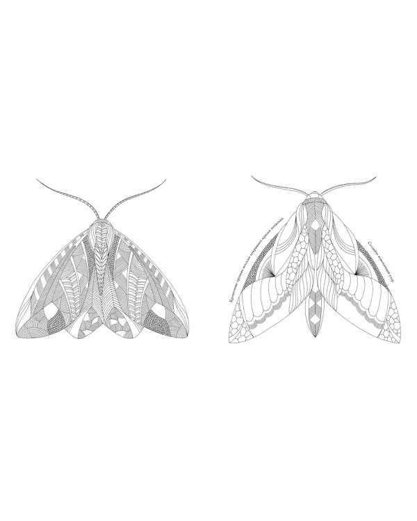 В царстве животных. Книга для творчества и вдохновения