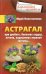 Астрагал. При диабете, болезнях сердца, печени, нарушениях нервной системы
