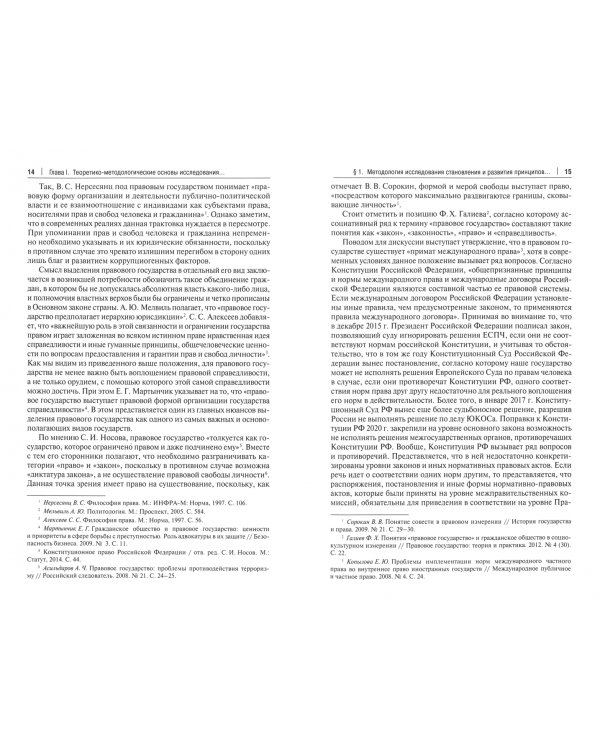 Становление и развитие принципов правового государства в России. Монография