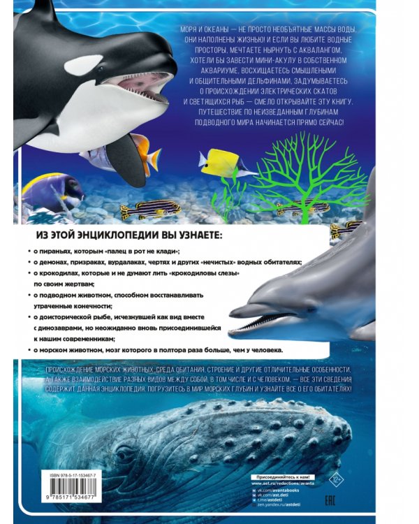 Подводный мир