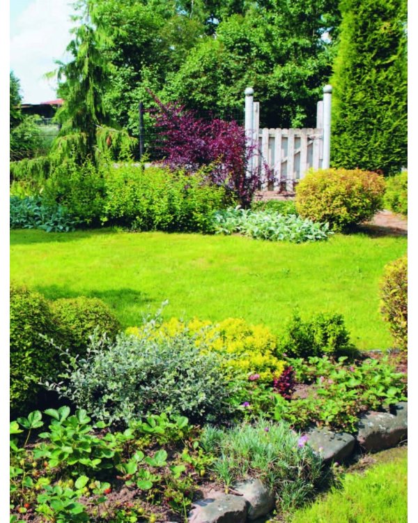 Ландшафтный дизайн