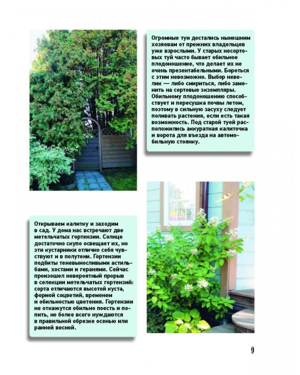 Ландшафтный дизайн