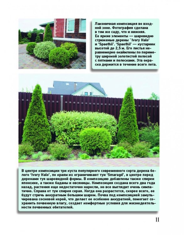 Ландшафтный дизайн