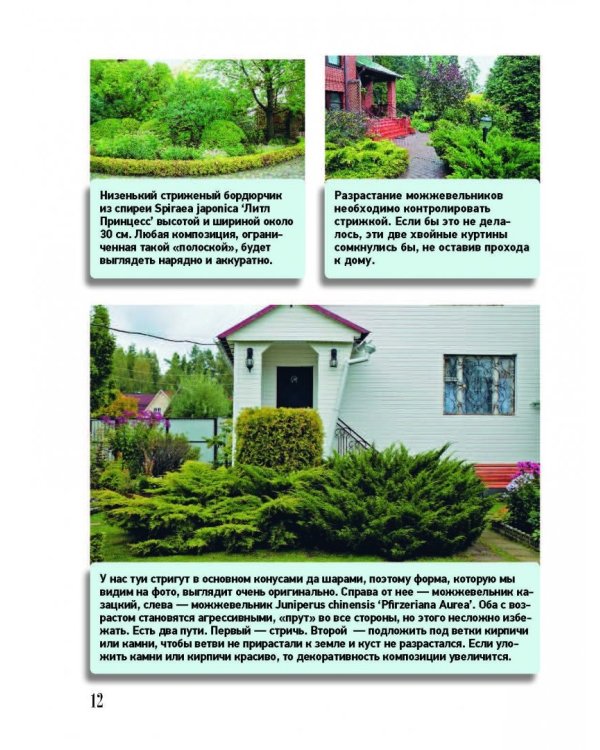 Ландшафтный дизайн