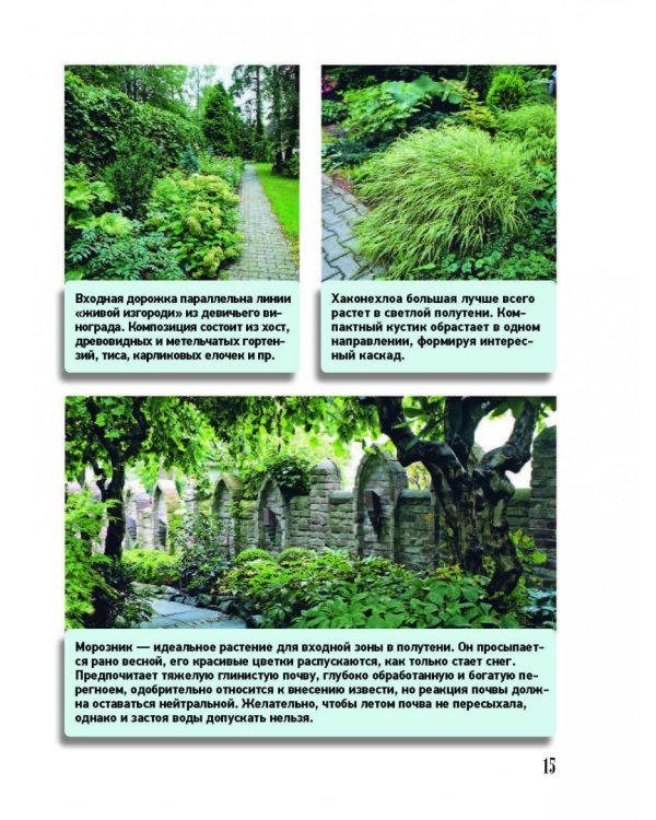 Ландшафтный дизайн