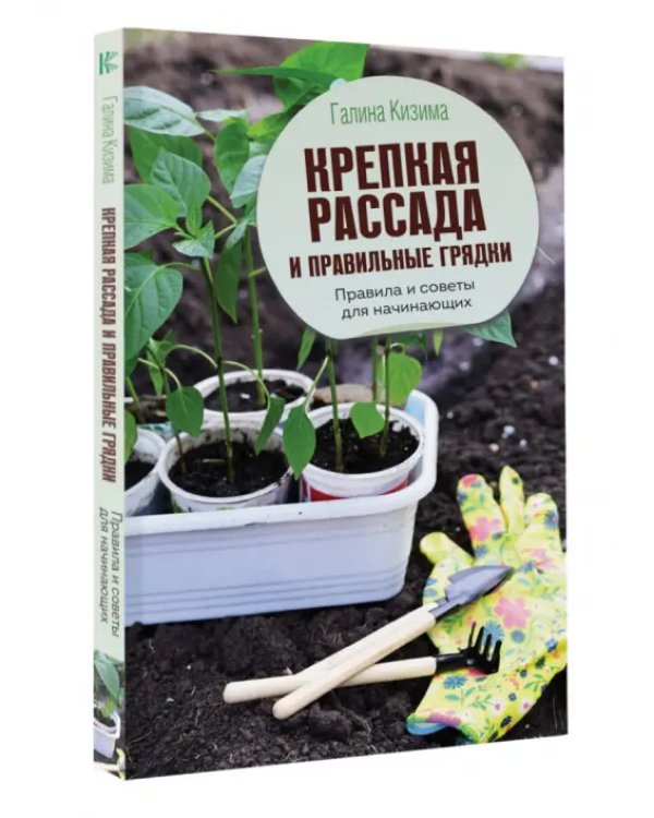 Крепкая рассада и правильные грядки. Правила и советы для начинающих